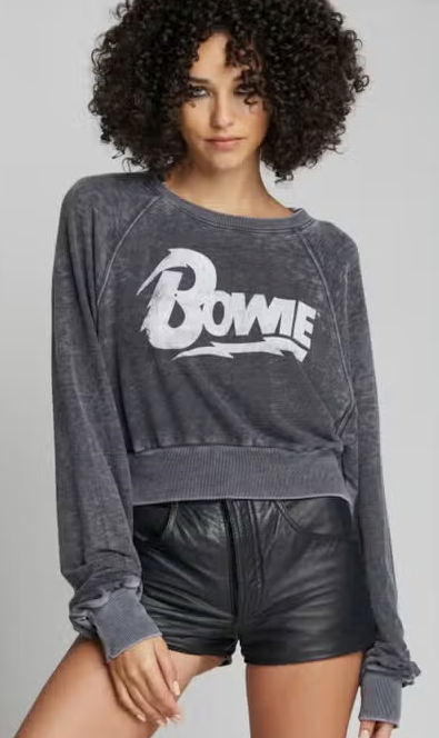 Bowie Cropped Sweatshirt